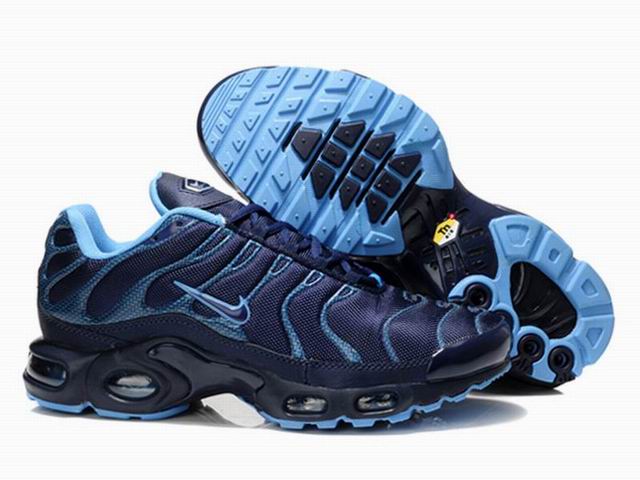 chaussure nike tn requin homme