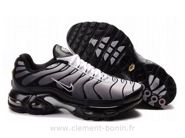 tn requin cool